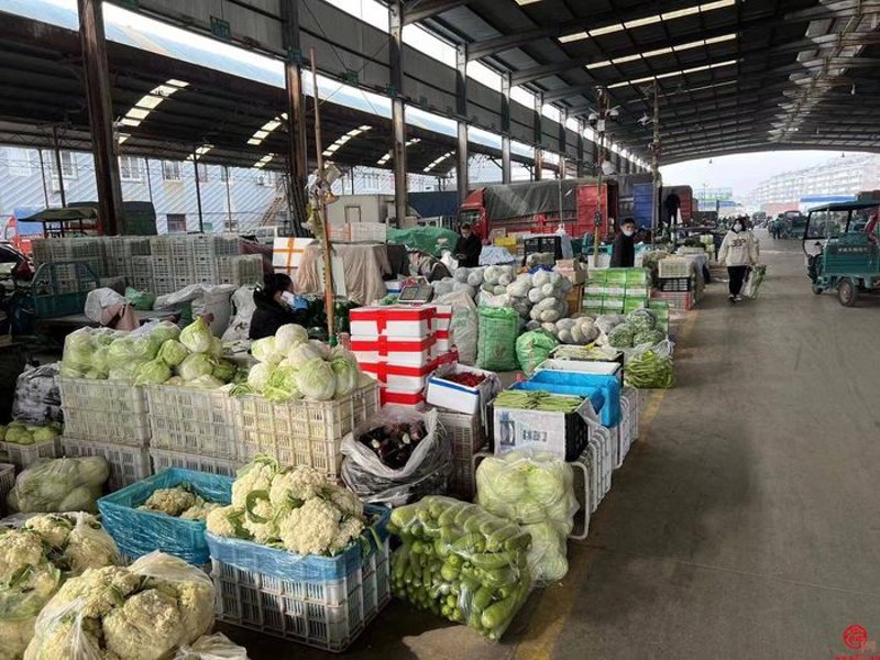 大宗商品市场的风云变化与批发行业的未来展望